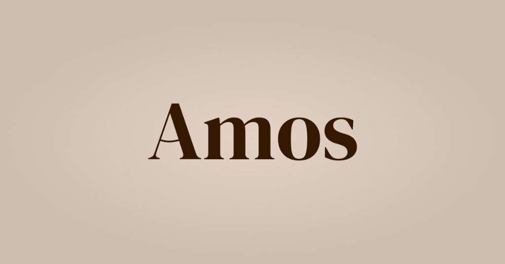 Amos Payments Infrastructure for the Mission Economy Logo
